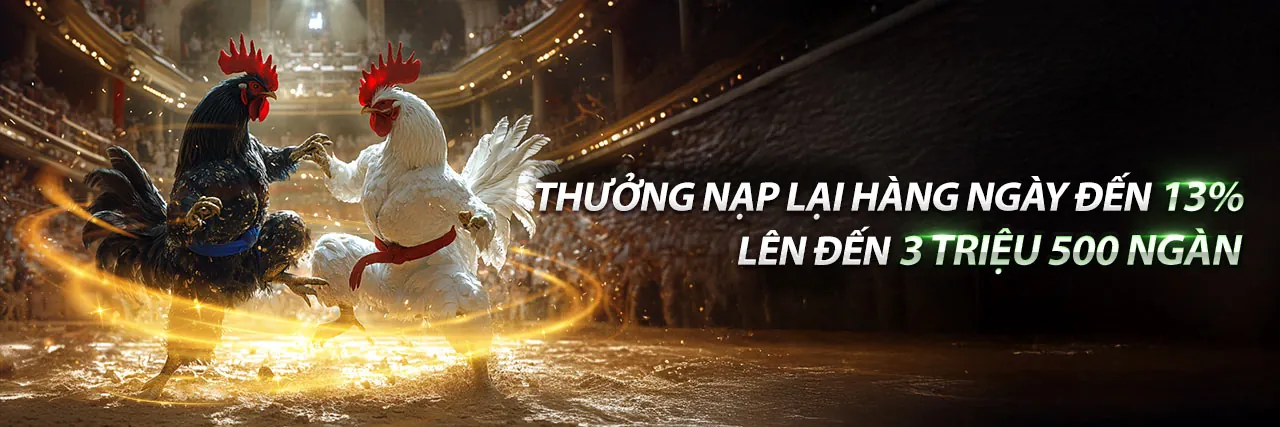 Đá cựa gà tre kịch tính